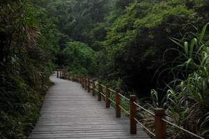 九龙江国家森林公